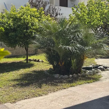 Vecchia Alimini オートラント