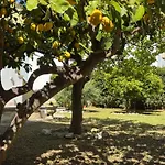 Vecchia Alimini Гостьовий будинок 4*