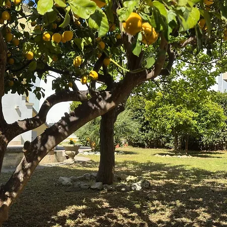 Vecchia Alimini Guest house 4*